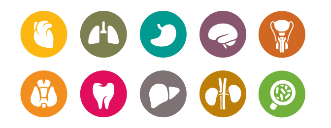 Arrangement of icons representing organs in the body